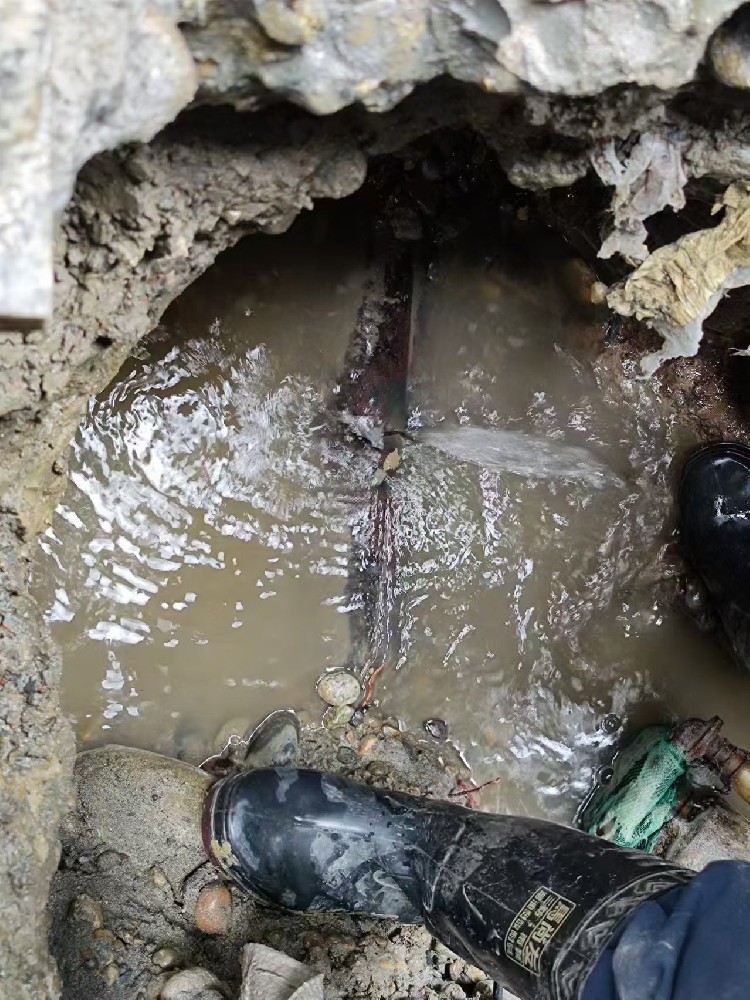 新蔡县本地服务：小区水管漏水检测维修